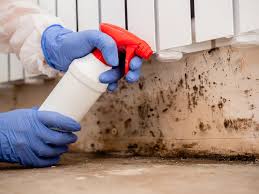 Best Asbestos and Lead Testing During Mold Inspection  in Ranchos De Taos, NM